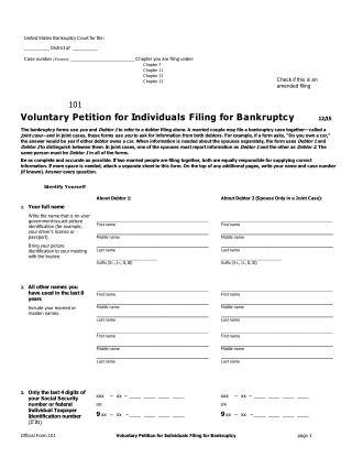 Form 101, page 1