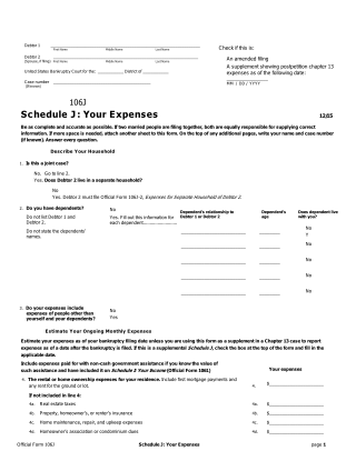 Form 106J, page 1